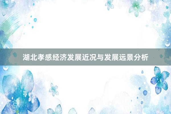 湖北孝感经济发展近况与发展远景分析